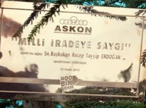 Diktiği fidana öyle bir isim verildi ki...