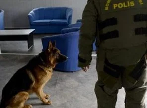 Dışişleri'nden Norveç uçaklarına 'Oslo' misillemesi