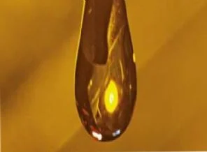 Diyabette yeni umut kahvereni yağ
