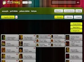 Dizimag sitesi neden ve nasıl kapatıldı?