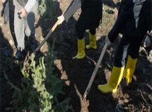 Iğdır'a bu kez 'Ebucehil' dikilecek