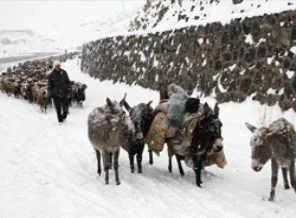 Kars eksi 15 dereceyi gördü