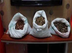 Mardin'de 6 bin kalaşnikof mermisi ele geçirildi