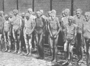 Auschwitz Suriye'de olunca görmeyenler
