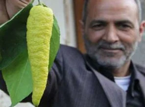 Bunun biber olduğunu zannediyorsanız yanılıyorsunuz!
