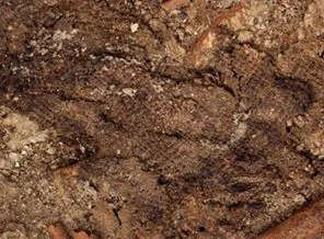 Çatalhöyük'te dünyanın ilk keten kumaşı bulundu
