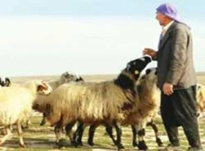 Çözüm göçerlerin umudunu arttırdı