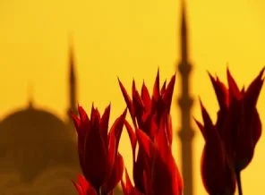 Cuma gününün mucizeleri(Foto Galeri)