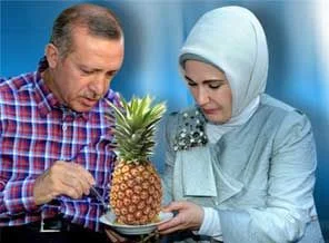 Erdoğan'dan Zaman'a 'ananas' tepkisi