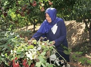 Hayrünnisa Gül: Bahçeyle uğraşmak beni dinlendiriyor