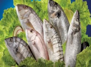 Kumkapı balık hali taşınıyor