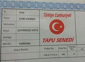 Olmaz demeyin oldu: Çamlıhemşin, Çayırdüzü, Thiriona