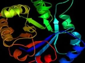 Vücudumuzdaki proteinler sürekli titreşim halinde