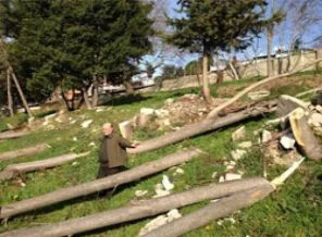 CHP'li belediyeden çevre katliamı
