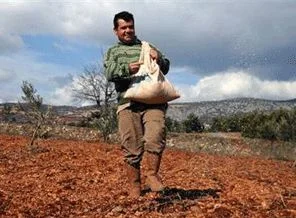 Çiftçilere prim müjdesi