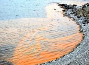Karadeniz sahillerinde görülen kızıl tabaka yayılıyor