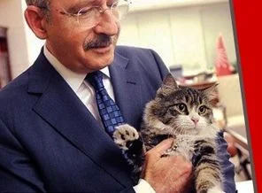 Kılıçdaroğlu'nun gündemi Kediler Günü