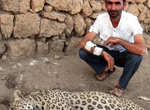 Leoparı vuran avcıya cezaevi yolu
