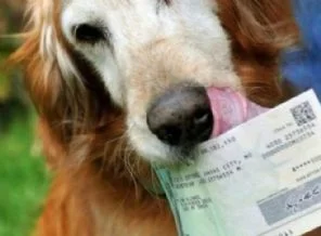 Mahkeme köpeğin dilekçesini kabul edildi