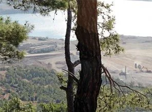 Mersin Akkuyu'ya yer lisansı davası