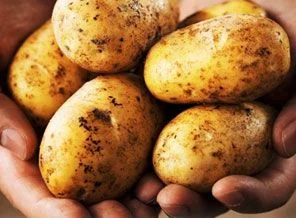 Patates fiyatları düşüyor!