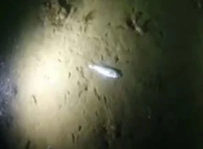 Sapanca Gölü'nün dibi korkuttu