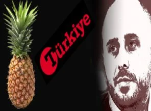 Türkiye Gazetesi yazarı cemaati bombaladı