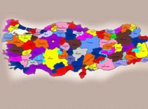 81 ilde 4 kadın!