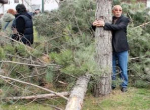 Ankara'da yeni bir ağaç eylemi