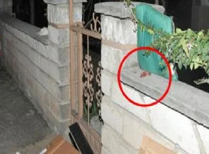 Bahçe duvarına cenin bırakıldı