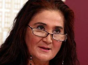 CHP'li Akkiraz'ın arabasından hırsızlık