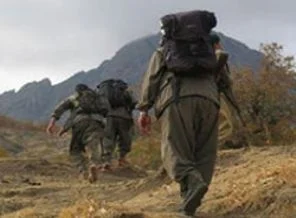 Habur'da 9 PKK'lı teslim oldu