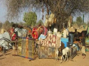 Orta Afrika'da son durum!