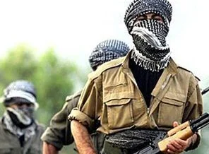 Siirt'te 2 PKK'lı teslim oldu