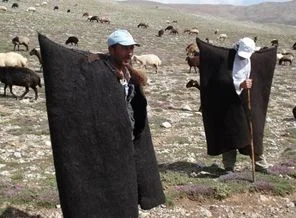2 bin 500 lira aylıkla çalışacak çoban bulamıyor
