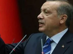 Almanya'dan Erdoğan'a tepki