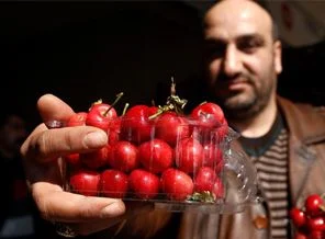 Altın fiyatına kiraz
