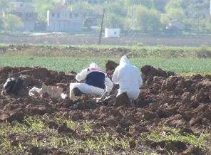 Ceylanpınar'a top mermisi düştü