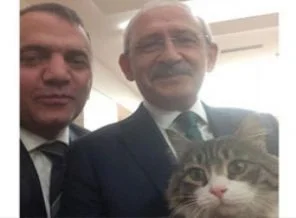 CHP işin halen dalgasında!