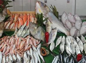 Denizde av yasağı yarın başlıyor