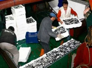 Denizlerde av yasağı başladı