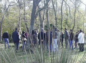 Edirne'de çalılıkların içinde 4 ceset bulundu