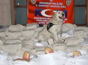 Erzurum'da tarihi uyuşturucu operasyonu!