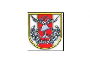 Paralele askeri soruşturma