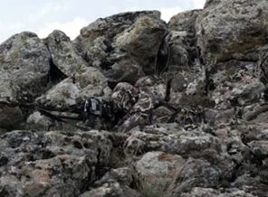 Parola 'tek atış tek ölüm!'