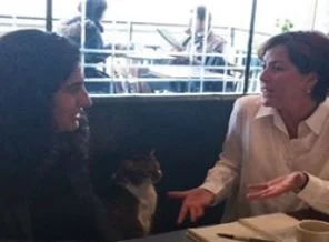 Tuncel: Beyaz Türkler de bize oy verecek
