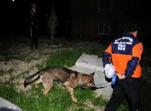 3 yaşındaki kız çocuğu kayboldu
