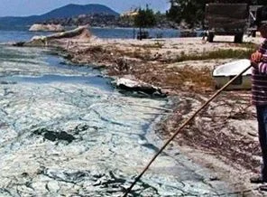 Bafa Gölü'nde şaşkına çeviren görüntü