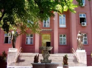 Balyoz yasa bekliyor