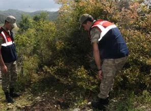 Bebek cesedini sahipsiz köpek buldu